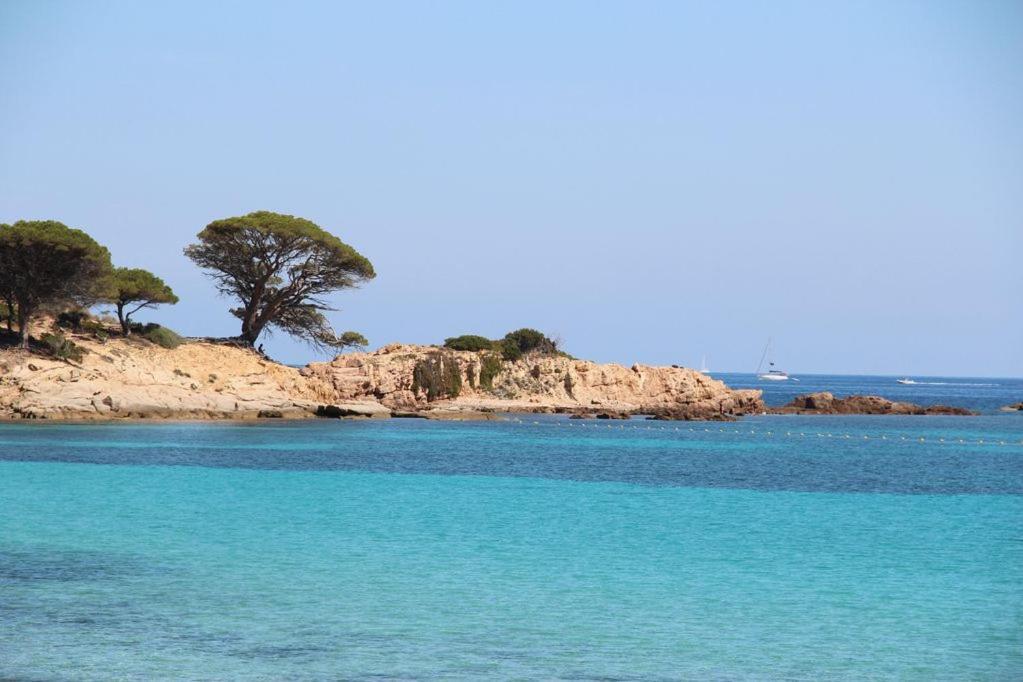 Villa Largia Porto Vecchio - A 5 Min Des Plages De Palombaggia - Calme- Climatisation Bagian luar foto